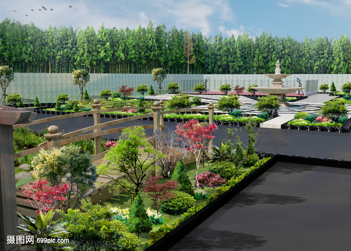 園林景觀植被效果圖