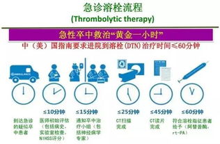 腦卒中健康管理與養(yǎng)生保健服務全解析