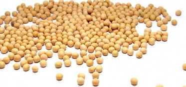 燕麥堅果酸奶等14種超級食物 日常養生保健，助您少得病、更長壽